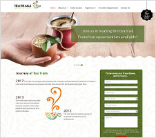 Website design with stunning good looks